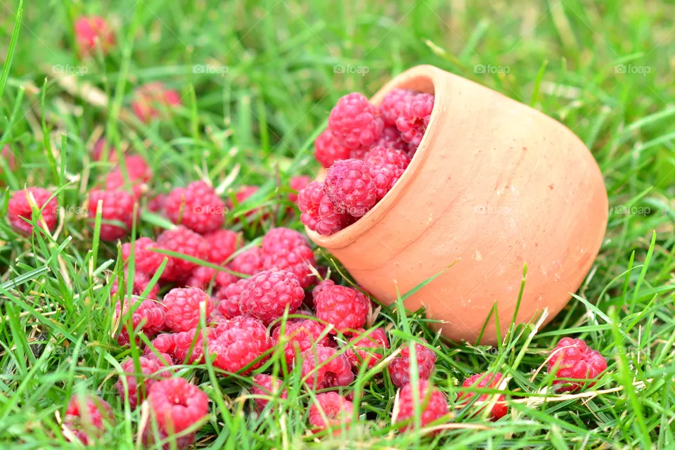 berry