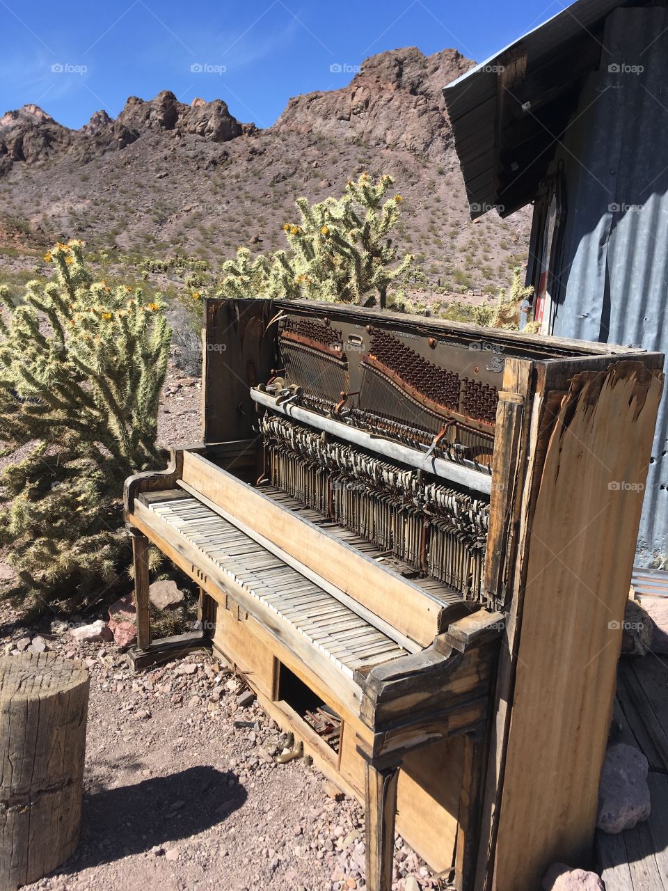 Old abandoned piano next to cactus plants in the desert. 
