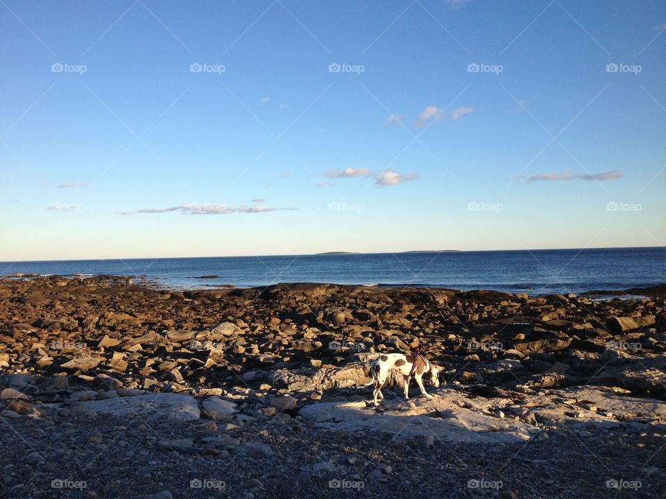 The view from Acadia National Park in Maine 