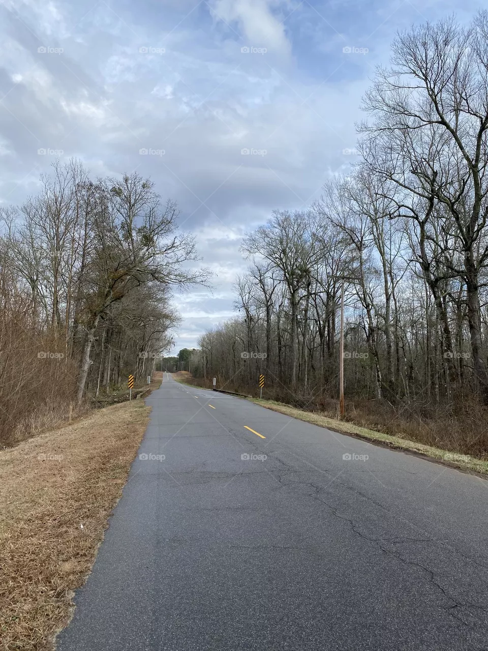 After the rain on this country road 