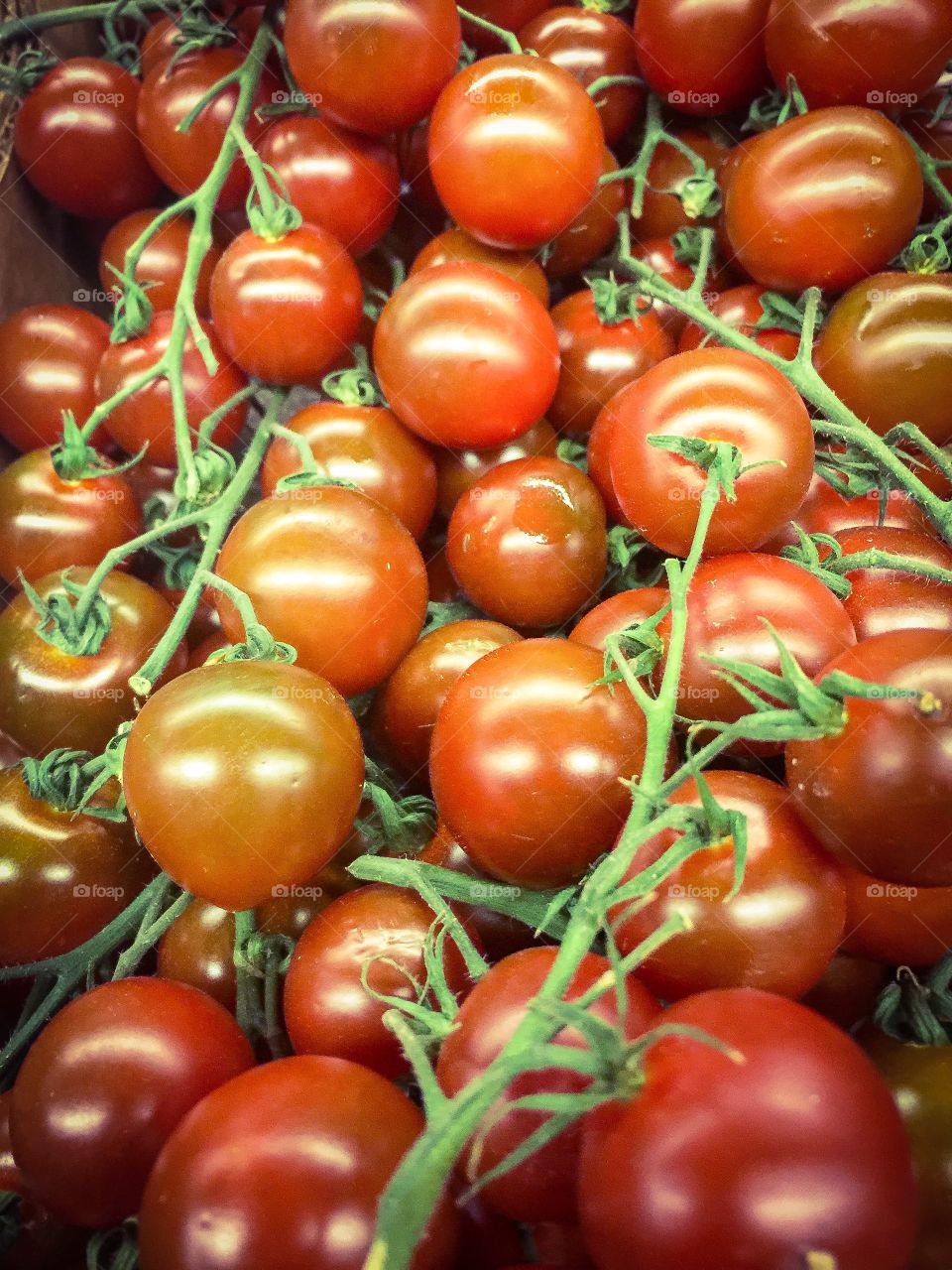 Cherry Tomatoes 