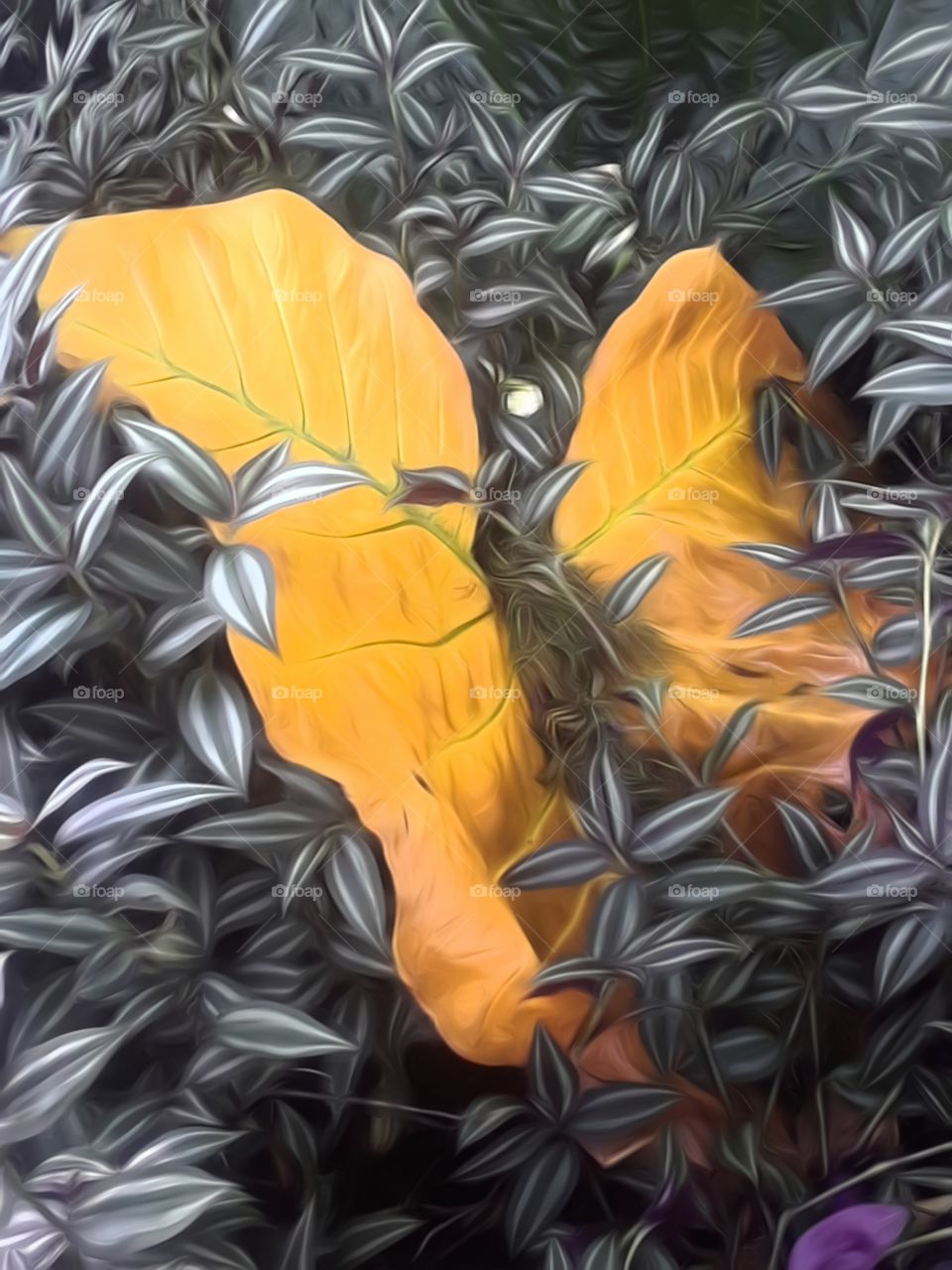 big yellow leaf