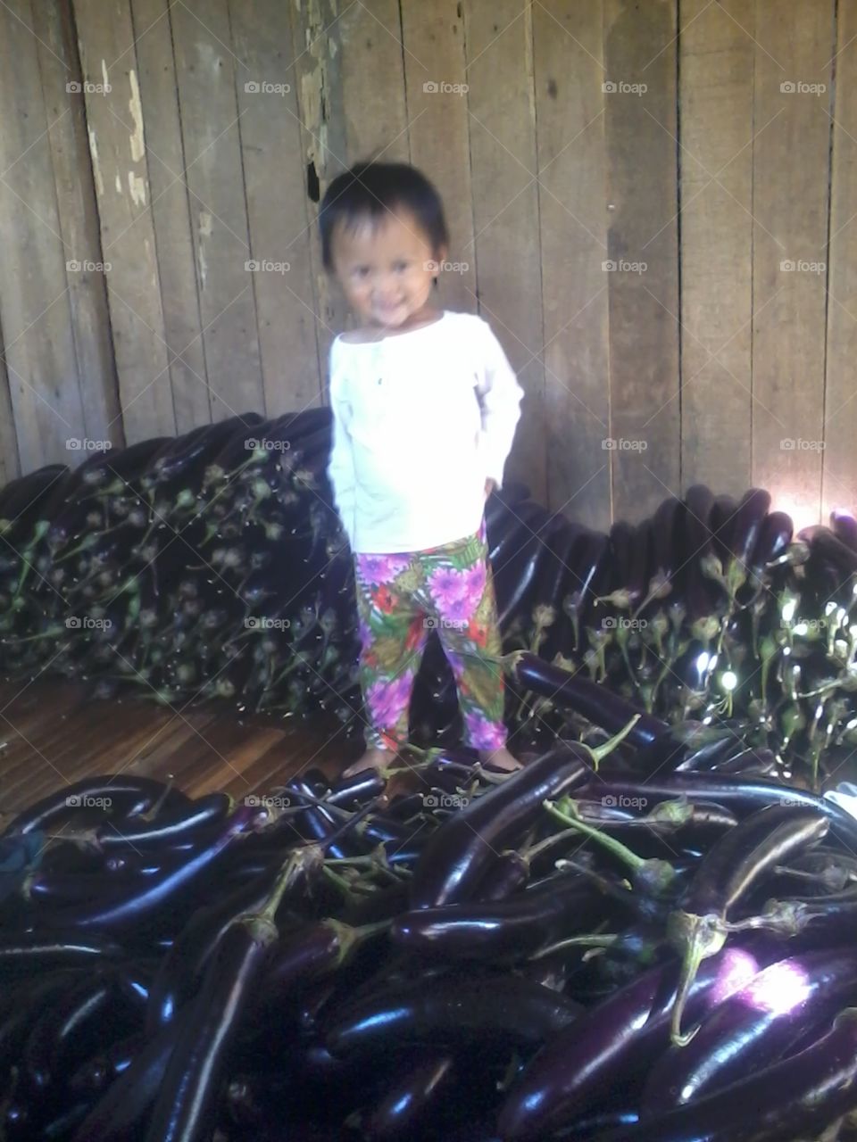 Baby and the Eggplant