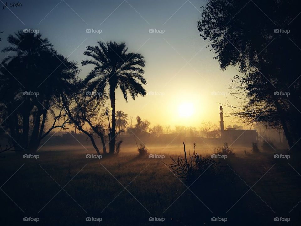 natural random click pic  good morning and good evening image  sun light trees wether cool