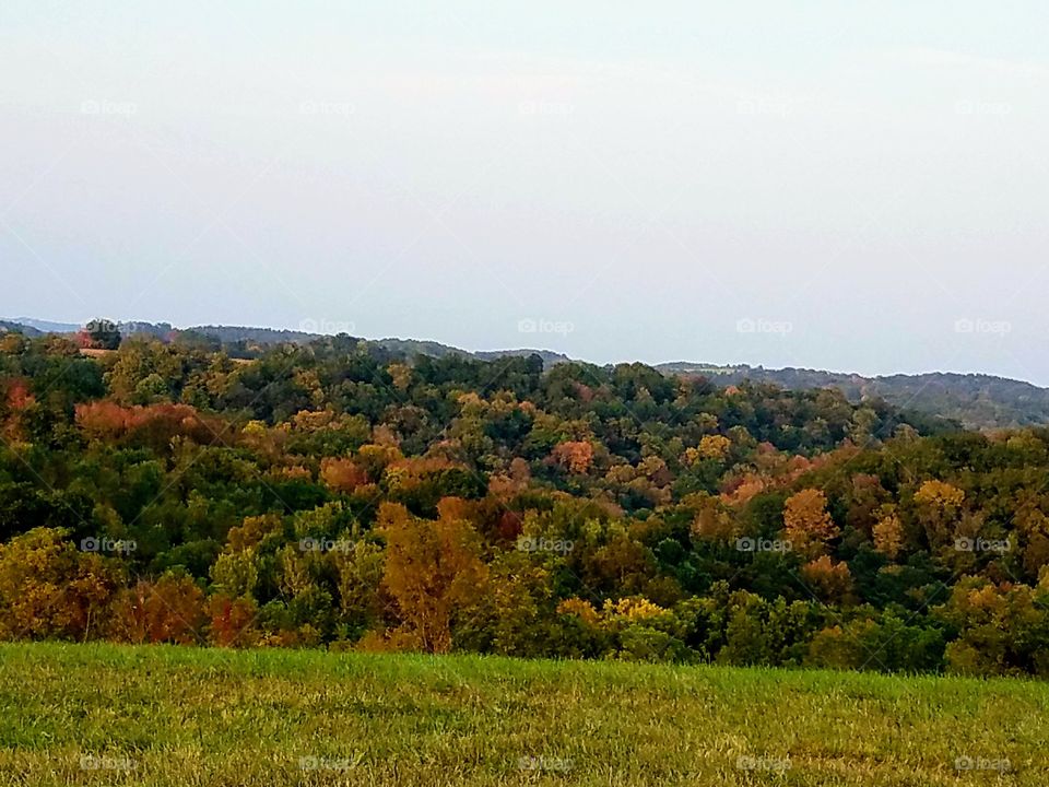 Driving the Back Roads and enjoying everything around us