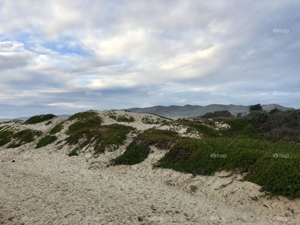 Pismo Beach sand dunes