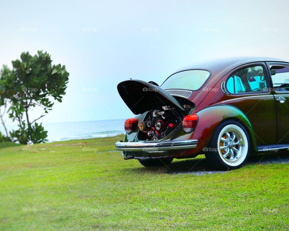 Engine! without it car cannot Move!