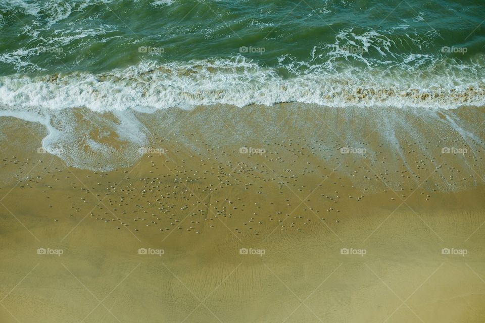Looking down at the sand birds, playing in the waves