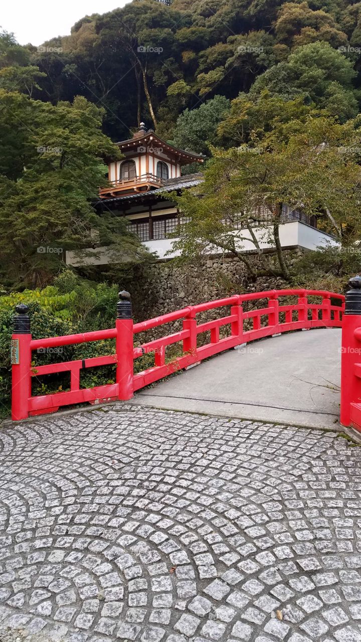 Red bridge, Ryuanji Temple