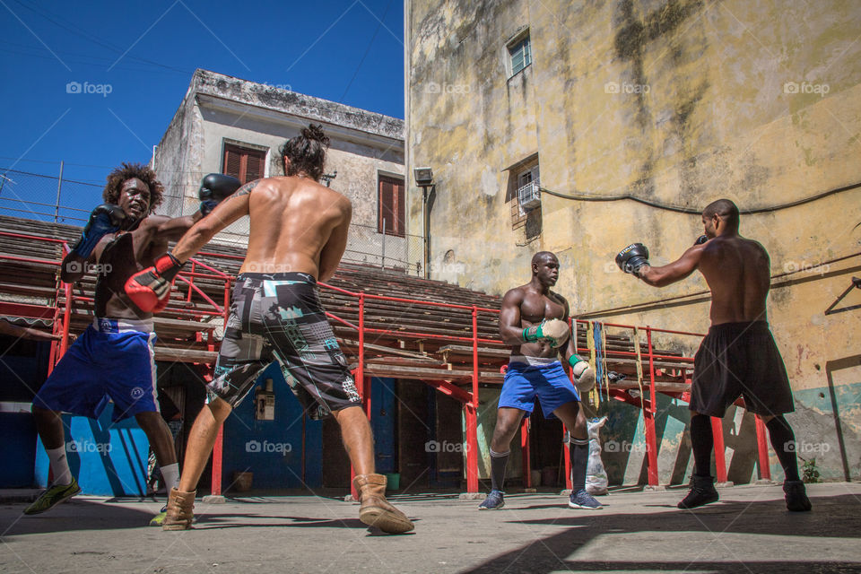 Cuban boxers
