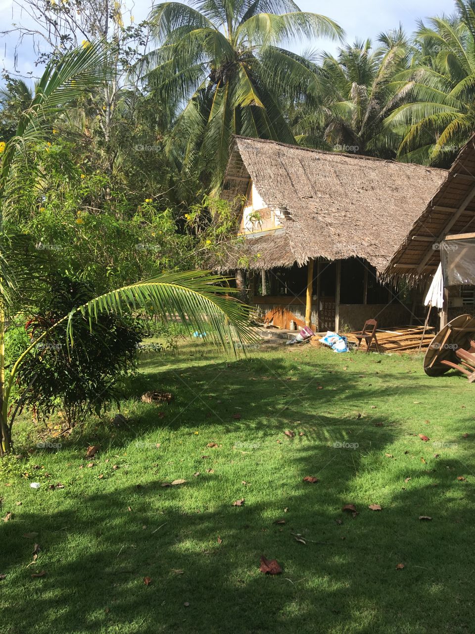 The measured life on the island, the Andaman Sea, life in the jungle