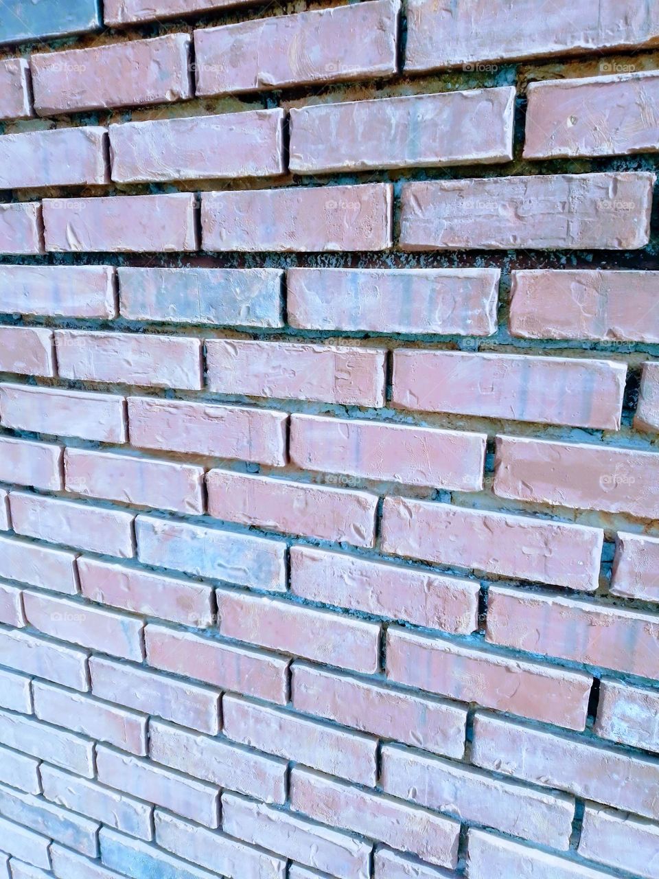 Geometry Series: Rectangle