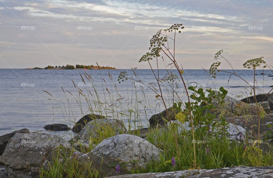 View of lake