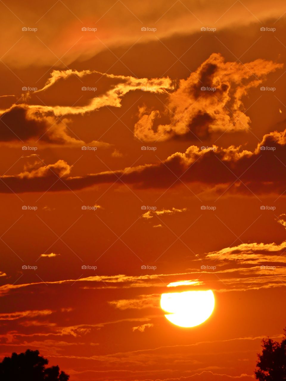 
The big orange ball slowly going down and down and it sets into the horizon making the  sky absolutely stunning