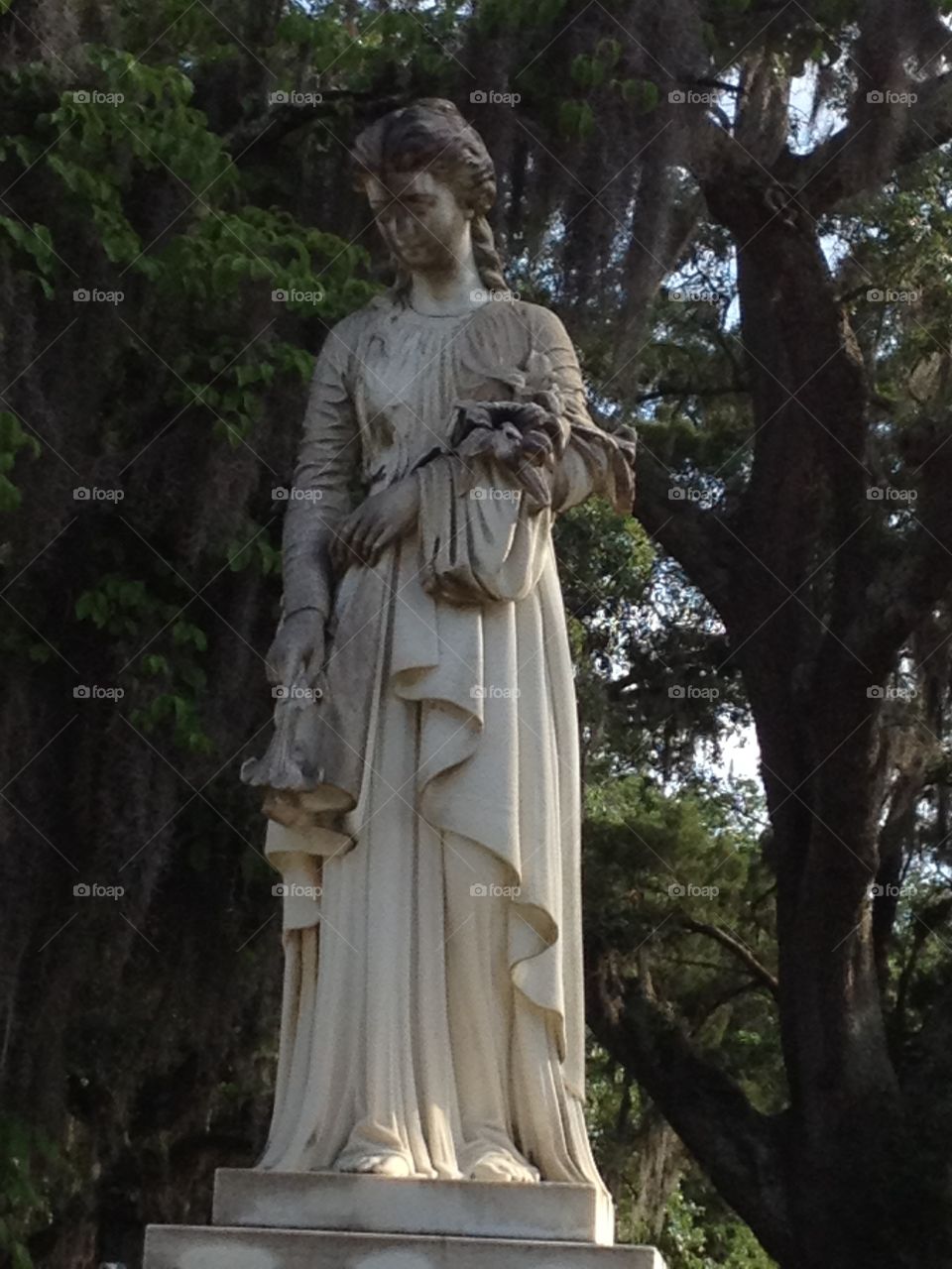 Cemetery in Savannah