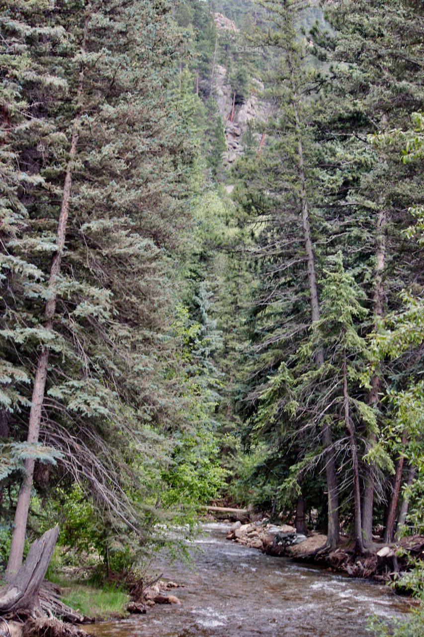 Colorado wilderness 
