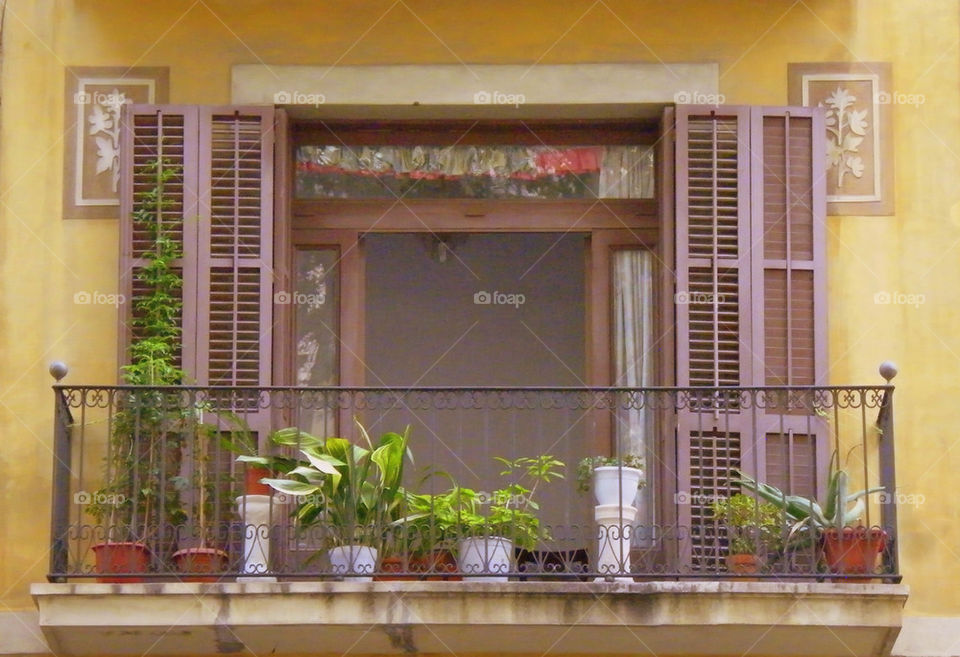 flowers window balcony border by demiromer