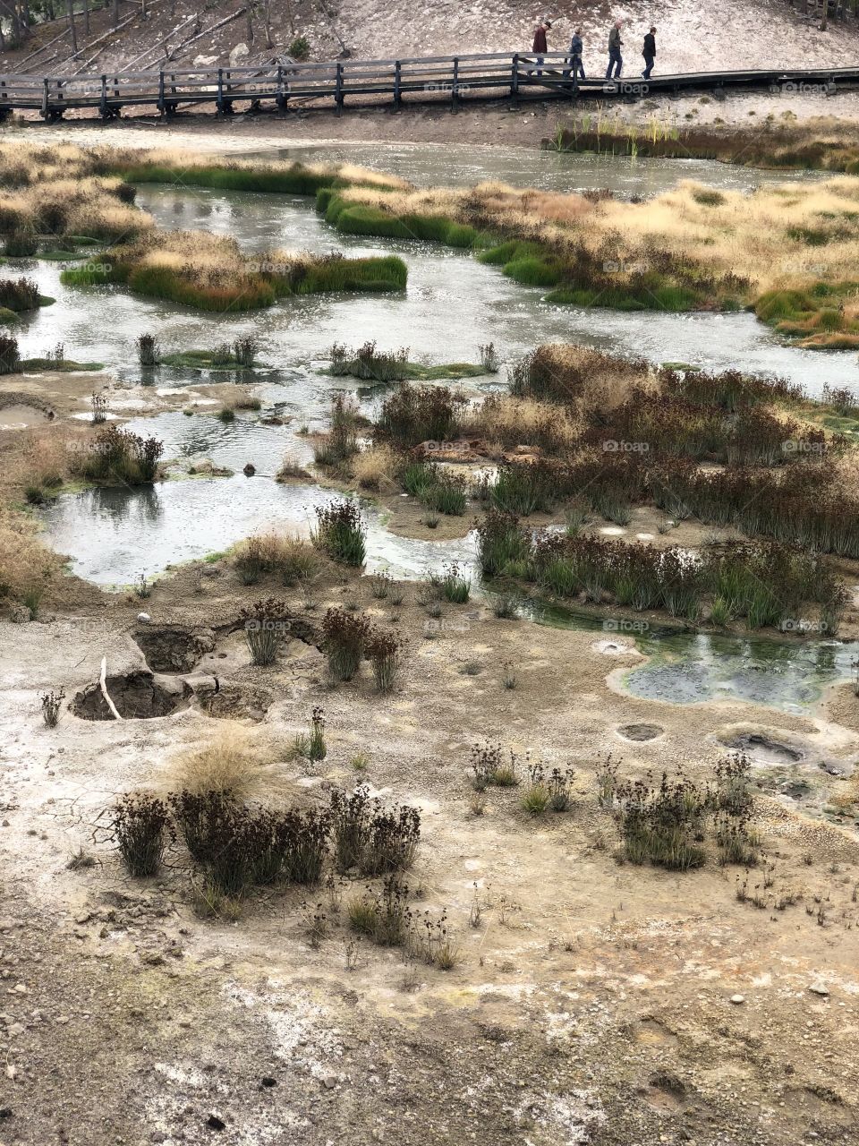 One of many Yellowstone Hot Springs