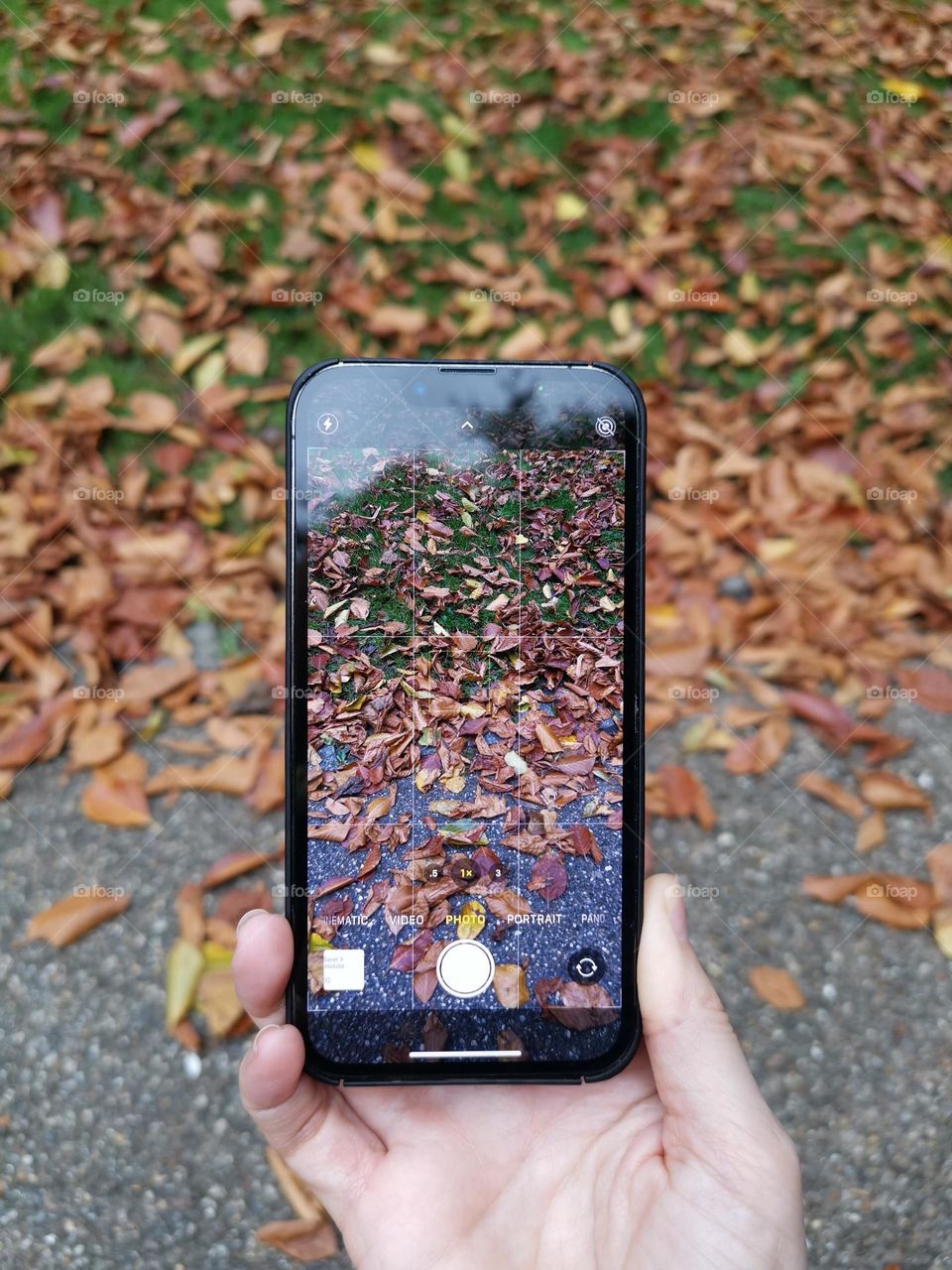 Autumn mood, autumn vibes. IPhone. Smartphone. Mobile photo.