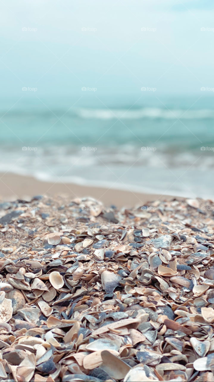 Sun and sea and a lot of seashells