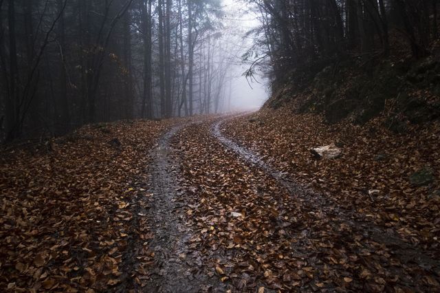 The only road