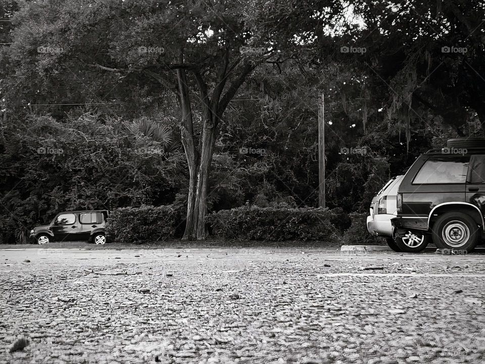 Commuting: car seen driving down the town road behind the bushes by the trees and vehicles seen parked in a parking lot in black and white.