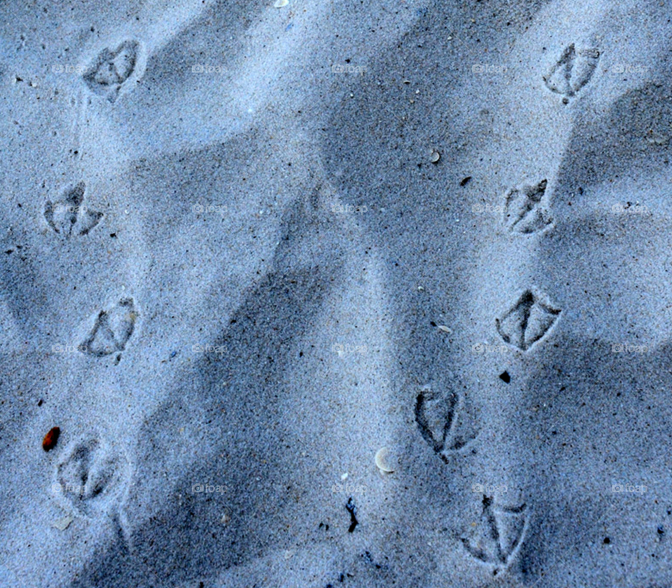 beach sand feet footprints by lightanddrawing