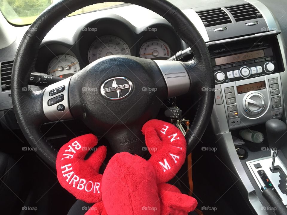 The driving lobster