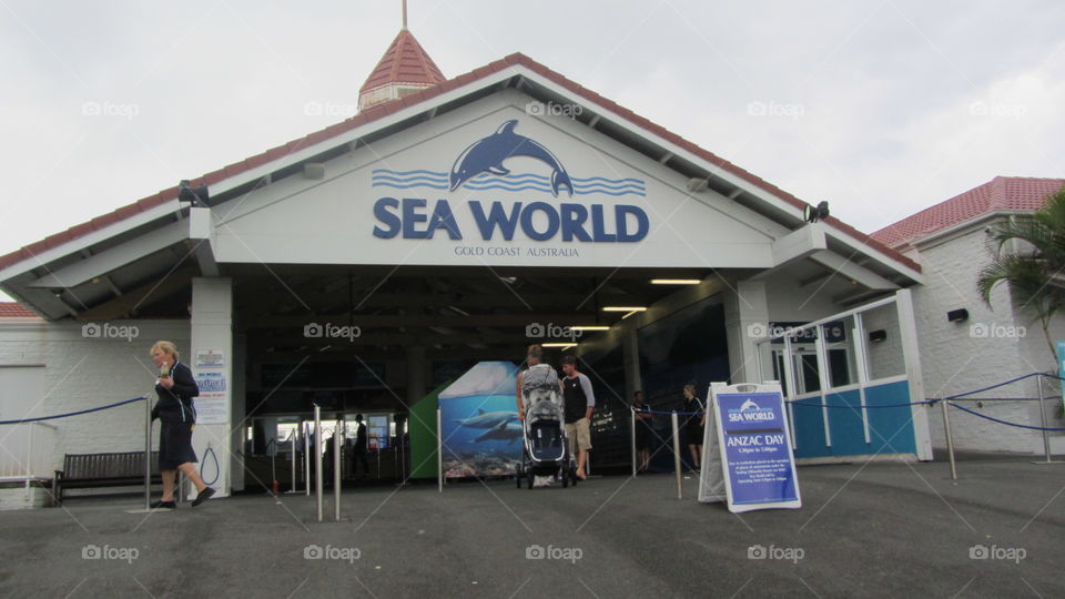 Sea world Gold Coast 