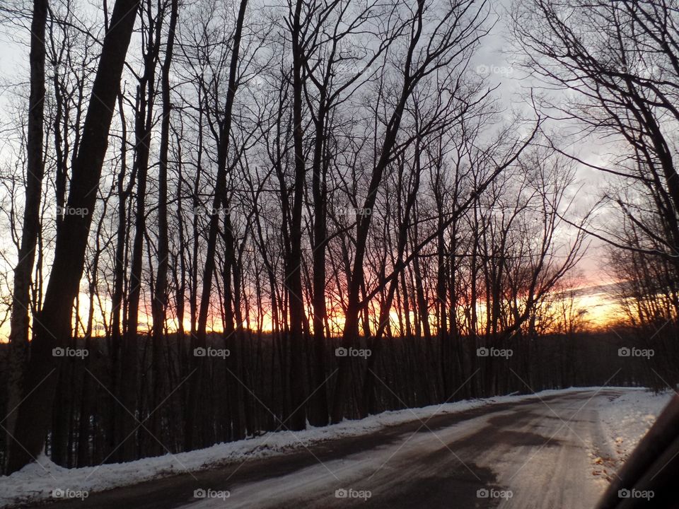 Northern Michigan 