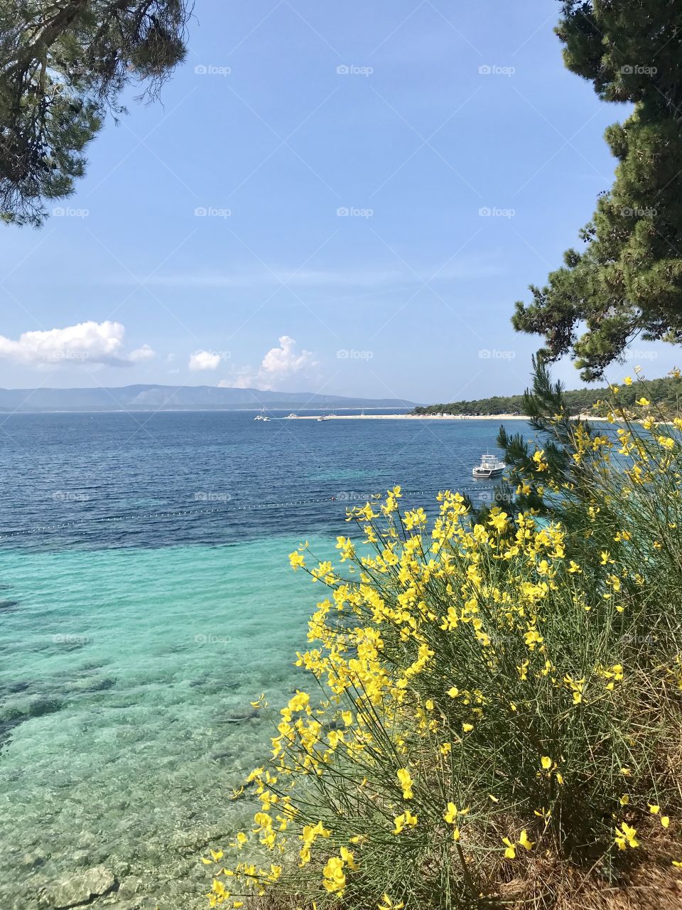 Zlatni rat