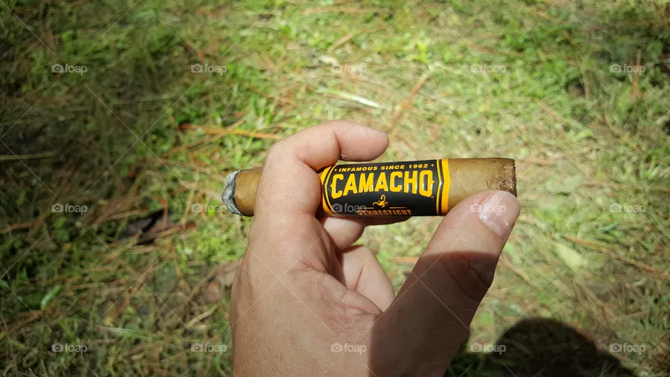 Cigar