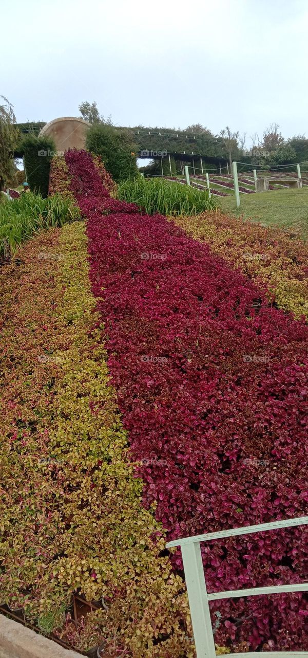 the shades in row ❤️