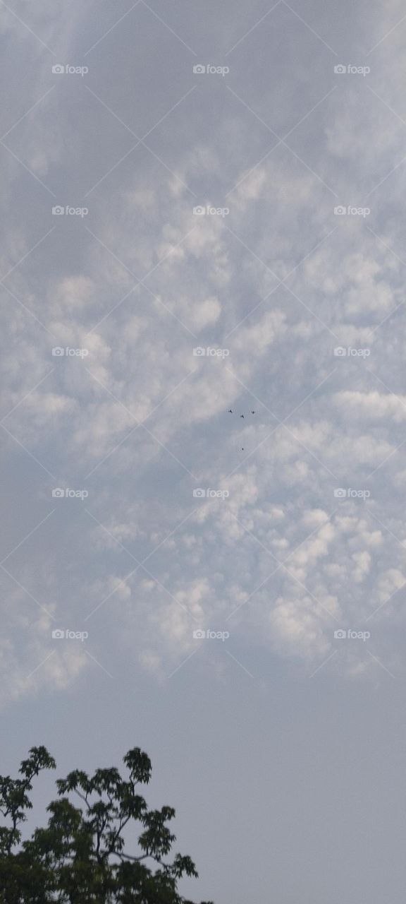 In the afternoon sky.