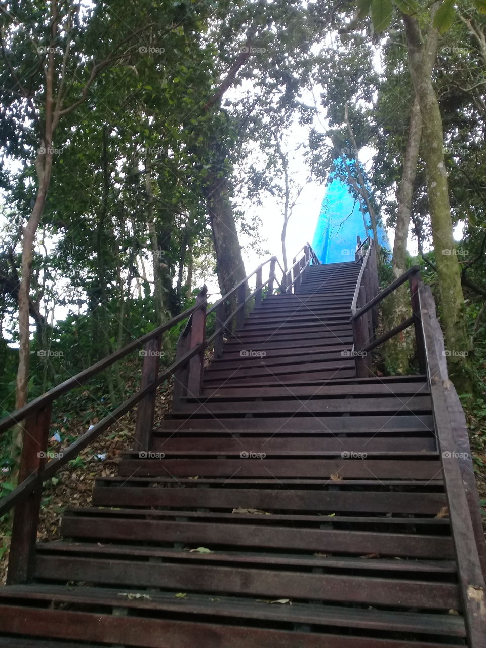Ecological trail .Nossa sra Aparecida Monument.  Mongaguá Brazil