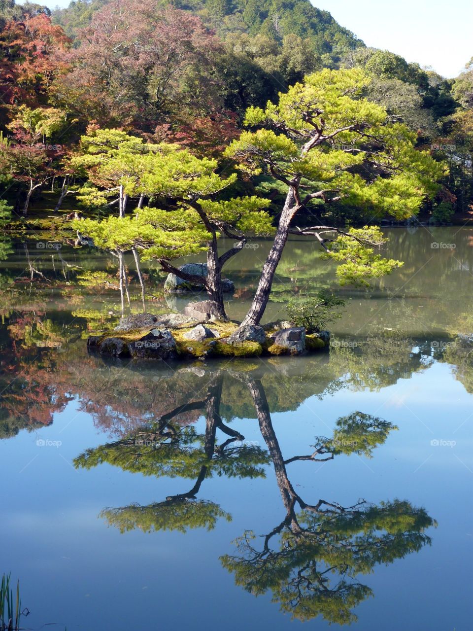 Japanese garden reflections