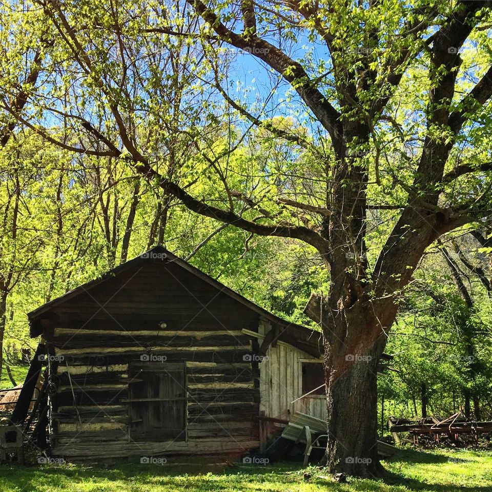 Out in the country. 