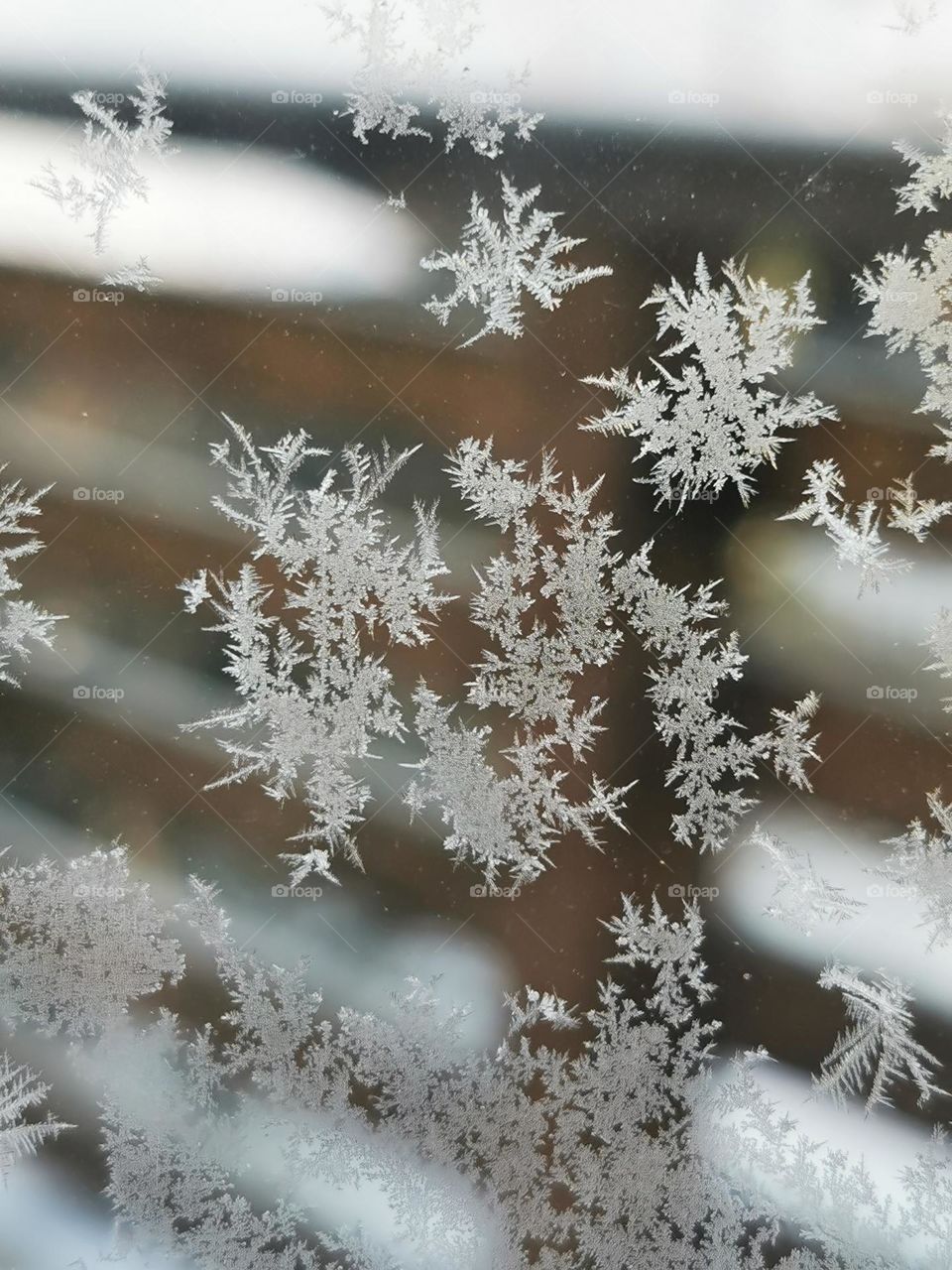 Frosty patterns on the window