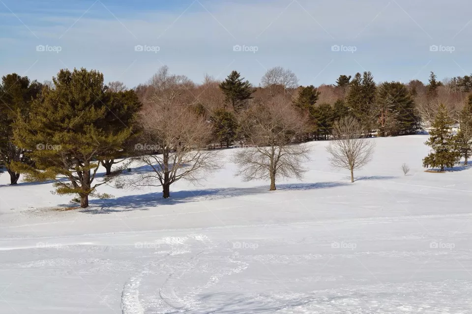 Winter