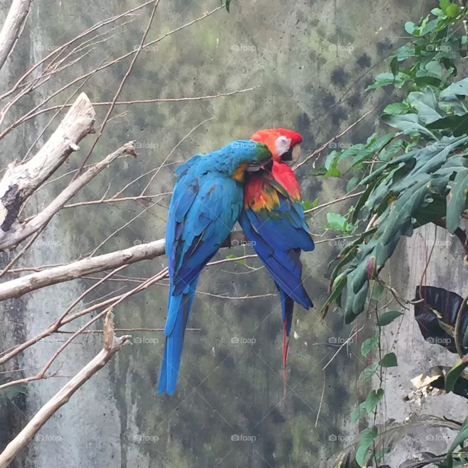 Zoo time 