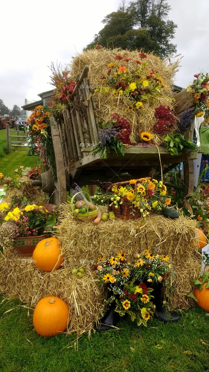 autumn, cart, flowers, vegetables, baskets, colour, Halloween, decorations