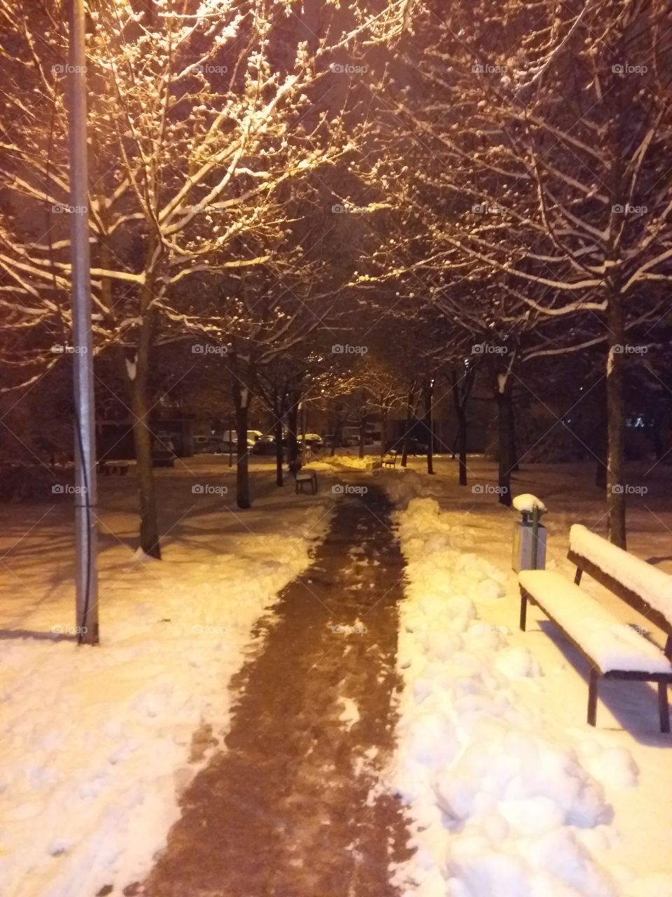Snowy park