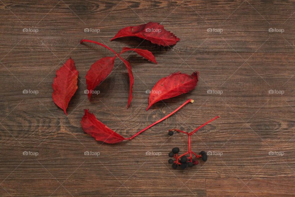 Red leaves in wooden floor