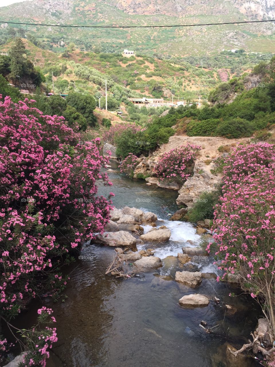 Chefchaouen, Talambote, Akchour, Morocco 