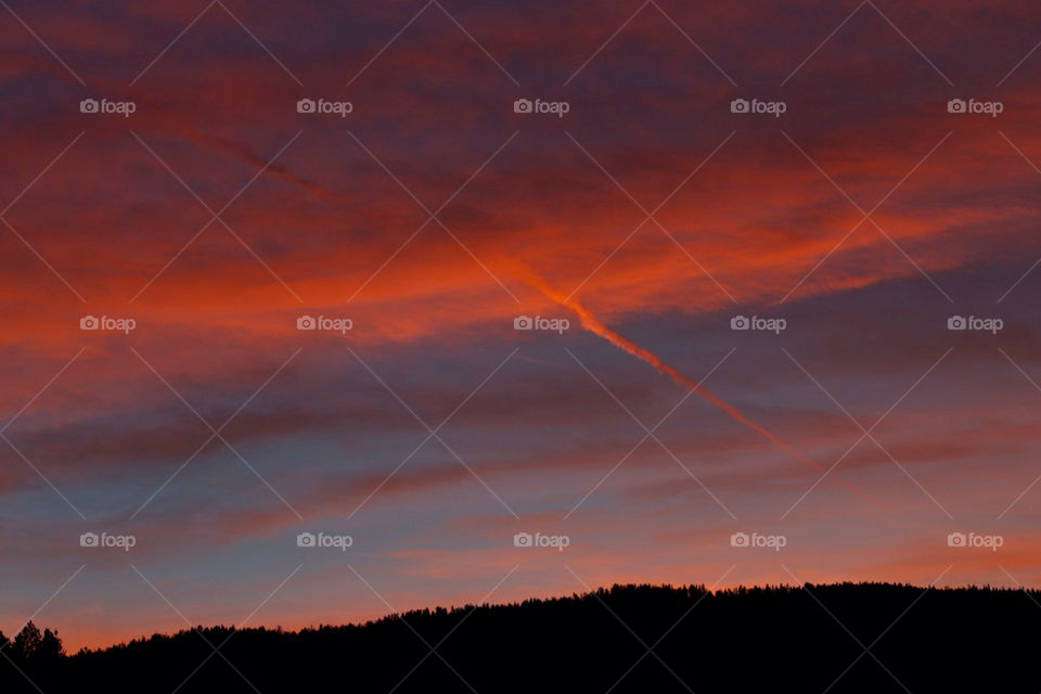 summer sunset solanum new-mexico by avphoto