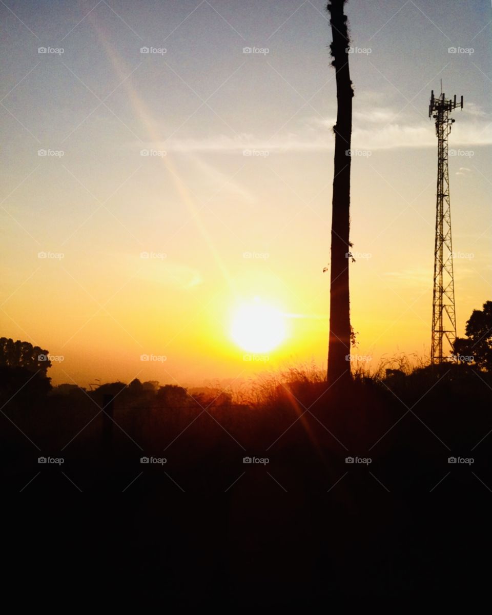 🇺🇸 The immense and beautiful yellow sun of the city of Jundiaí, in Brazil.  What an inspiration for those who enjoy nature! / 🇧🇷 O imenso e belo sol amarelo da cidade de Jundiaí, no Brasil. Que inspiração para quem curte a natureza!