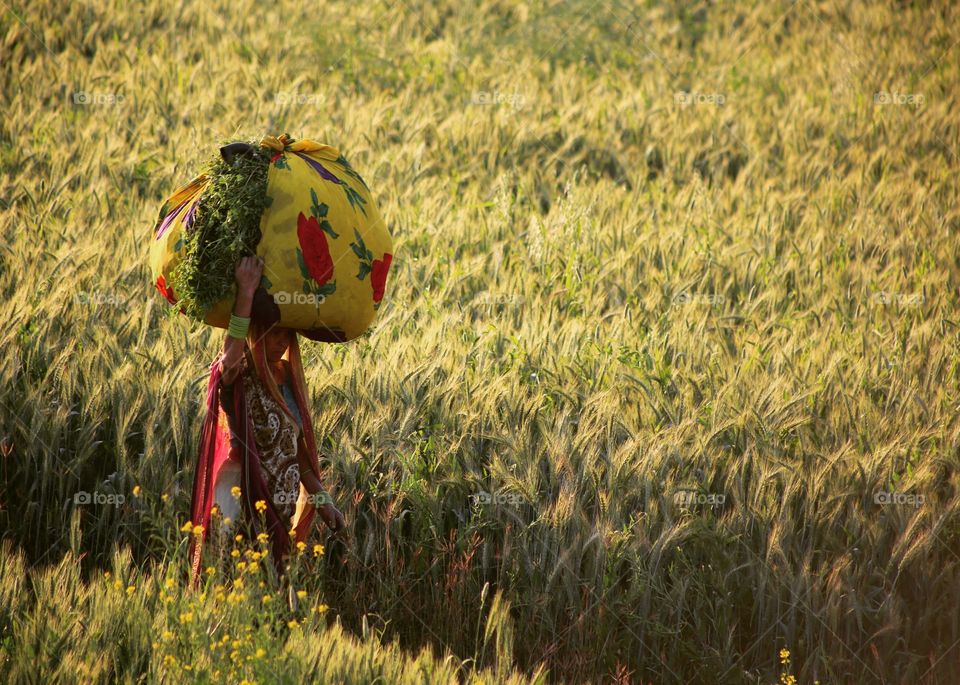 A woman carrying crops on her head.