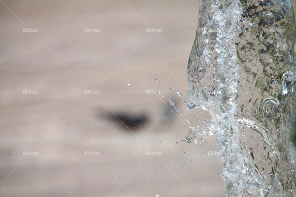 Water drops reflects the light