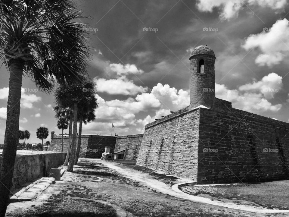 A scene of serenity. Palm trees, architecture and white clouds