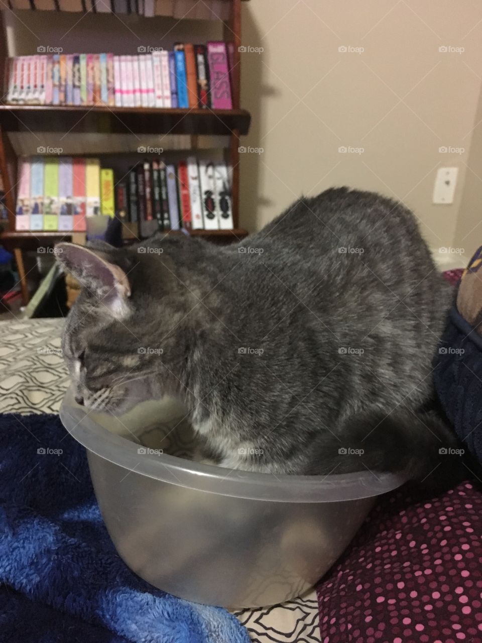I sit in this bowl
